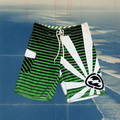 Andy Irons X Billabong rising sun green with stripes vintage boardies